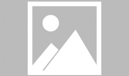 一级毛片在线视频,内容解析与伦理探讨